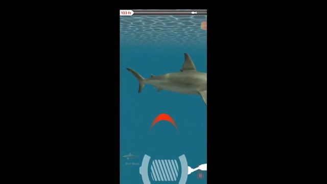 Rapala Fishing Game - Caught Legendary Bull Shark #5 смотреть онлайн
