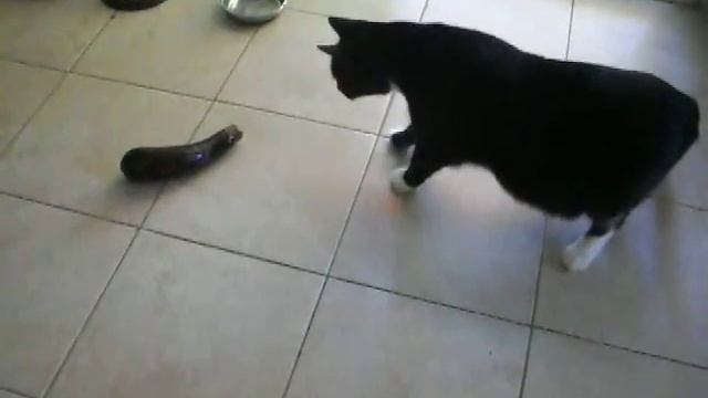 35 3 Страха нет   одно любопытство