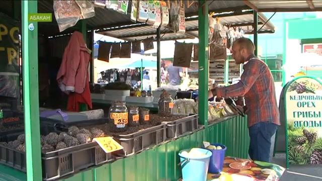 Тайга Хакасии в этом году жадничает смотреть онлайн