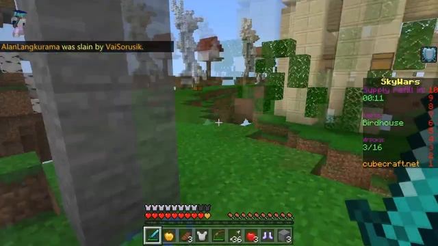 Играю в Sky Wars Первая победа за погоней кубком славы смотреть онлайн