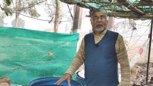 198. बायोकंट्रोल एजेंट्स को मल्टीप्लाई कैसे करें ।। Know about Biocontrol agents Multiplication