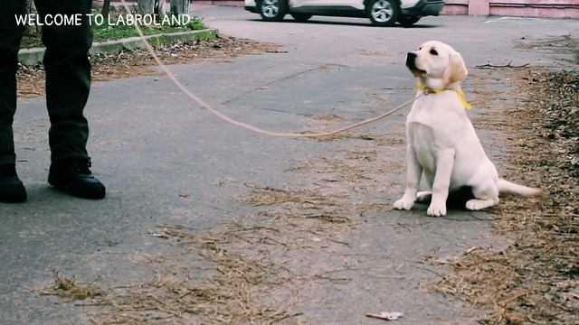 Первый раз в первый класс. Зита (4 мес.) Дочка Мишеля и Нонны смотреть онлайн