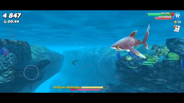 Hungry Shark World (HSW) 1# Рифовая акула (+ распорядок видео) смотреть онлайн