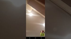 24 ноября 2022 г.