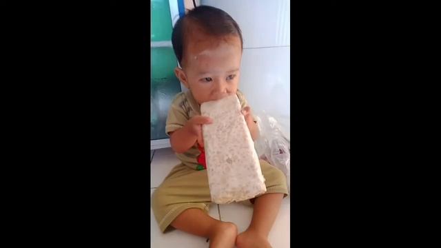 Bikin Gemesss.|| Kaka Bima makan Tempe mentah || смотреть онлайн