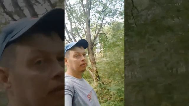 Вот и Лето - Прошло ! смотреть онлайн