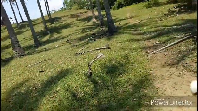 Jangan makan masrum berbahaya смотреть онлайн