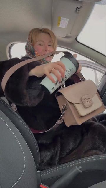 Артикул WB 188413849 Термокружка