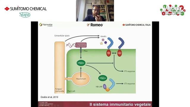L’induzione di resistenza per una difesa a basso apporto di rame e zolfo - il futuro è Biorazionale смотреть онлайн