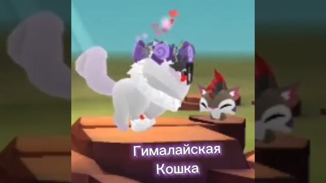 ✨Маи новые животные в Animal jam✨ смотреть онлайн