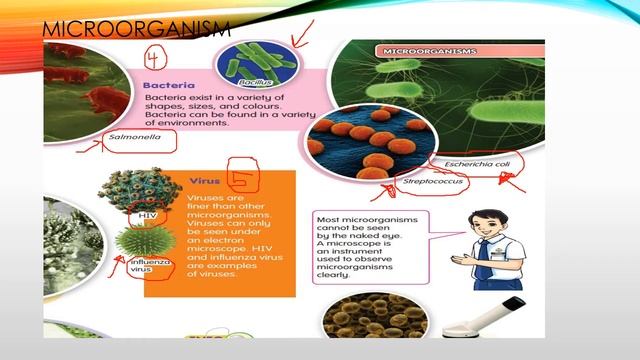 MICROORGANISM SCIENCE YEAR 6(DLP)