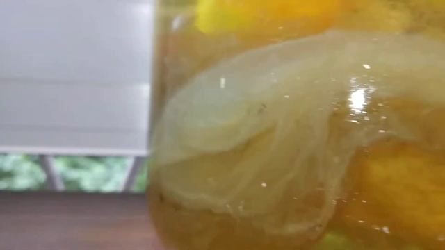 Детки, удача и не совсем))) часть 6