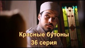 «Красные бутоны» обзор 36 серии