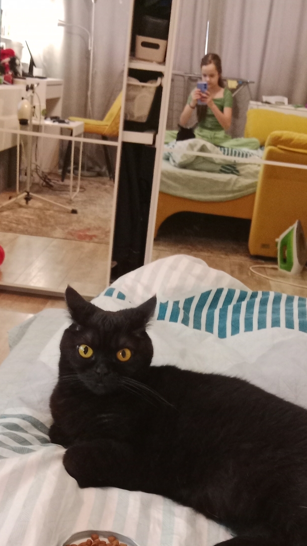 экскурсия смотреть онлайн