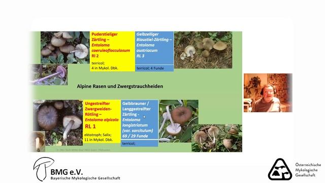Pilzvortrag: Otto Stoik - Die Rote Liste 2016 und die Pilze Österreichs смотреть онлайн