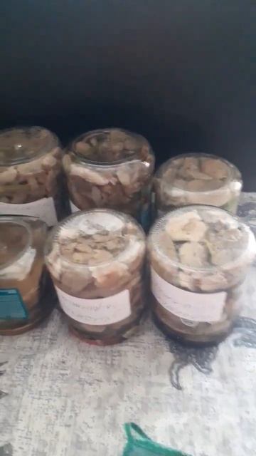 замариновали сыроежки горячим способом#лайк #коментарий #оценкаканала #рек смотреть онлайн