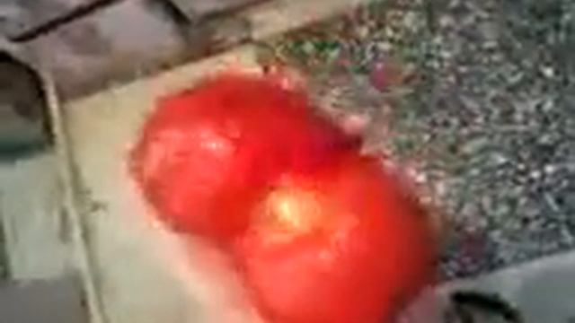 помидор смотреть онлайн