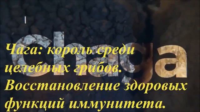 ELEV8 #bepic уникальный продукт #elev8 официальное видео смотреть онлайн