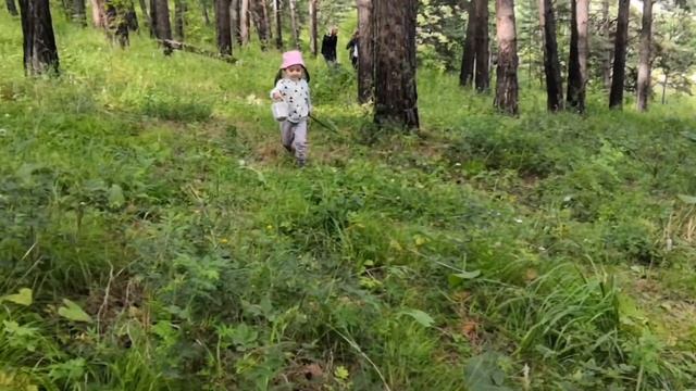 По грибы и ягоды смотреть онлайн