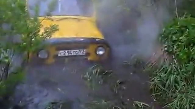 УАЗ -  Мухоморы летом  ))