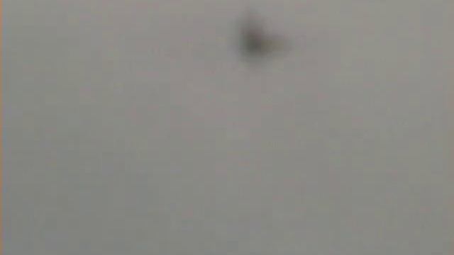 Albatros смотреть онлайн