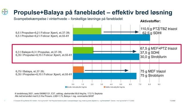 Fanebladsbehandling I Hvede
