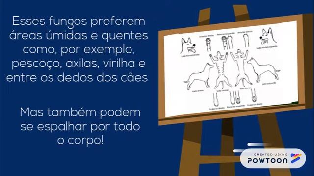 Malassezia Pachydermatis TRABALHO DE CLINICA DE PE