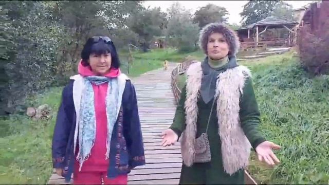Видео о проекте директор АНО АРКК смотреть онлайн