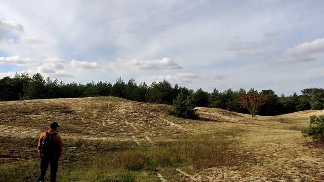 VLOG: Кони, мухоморы и дерево с сердцем 25.10.2020 смотреть онлайн