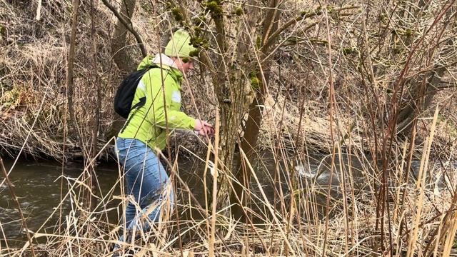 Саркосцифа, перша вітамінна зелень, останні зимові гриби смотреть онлайн