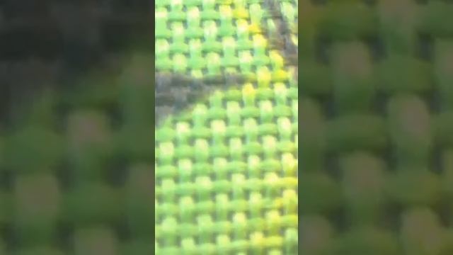 магия камери. дурдом веселка❤