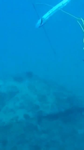 #Disparo Top na Barracuda смотреть онлайн