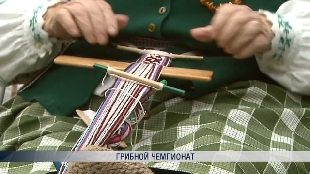 Грибной чемпионат смотреть онлайн