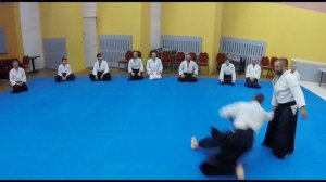 Семинар "Взаимодействие и связь в стиле Эндо Сихана" 6 кейко 26.01.2025