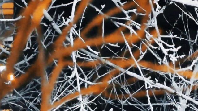 VID 20230209 205458 Упрямая душа (Майкл Дей- Ананг)...Павел Васильев Лахтинский