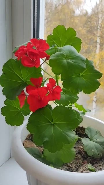 18 октября 2022 г. смотреть онлайн