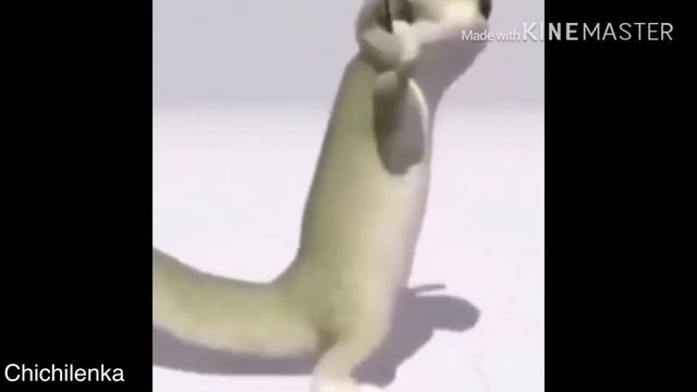 ЯЩЕР ФЛЕКСИТ ПОД DELORENZY ШОК 😱😱😱