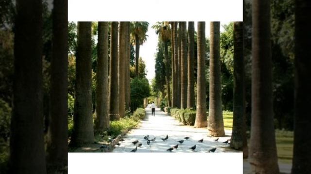 ПОЭЗИЯ 📝Бақытыма балап өтем мен сені🖊📝Авторы:Асқар Қызырханұлы