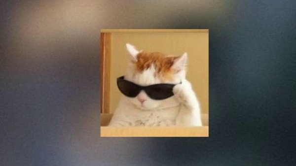 TATISIZE, PASHASNICKERS - TATI