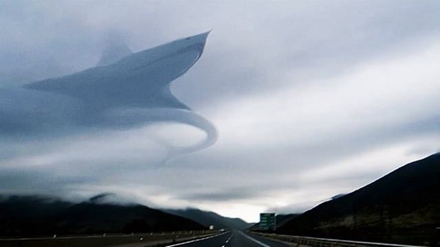 Акула Самолёт. Реальна?