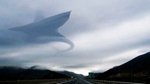 Акула Самолёт. Реальна?