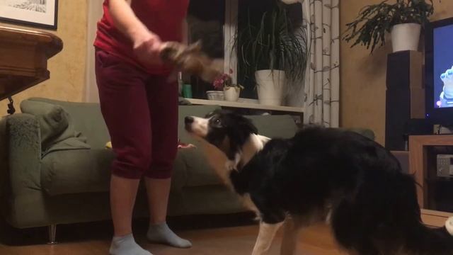 30 ноября 2022 г. смотреть онлайн