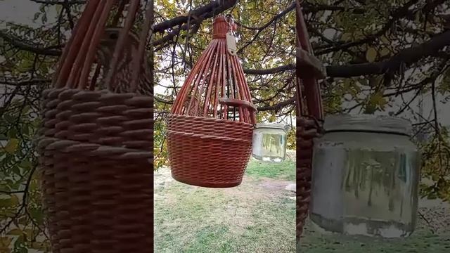бедана N1  Sayroqi Bedana 🏅🔥голос ппрепела