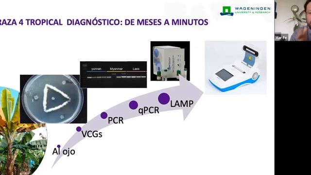"Propagación plátano y banano: técnicas tradicionales e innovación" смотреть онлайн