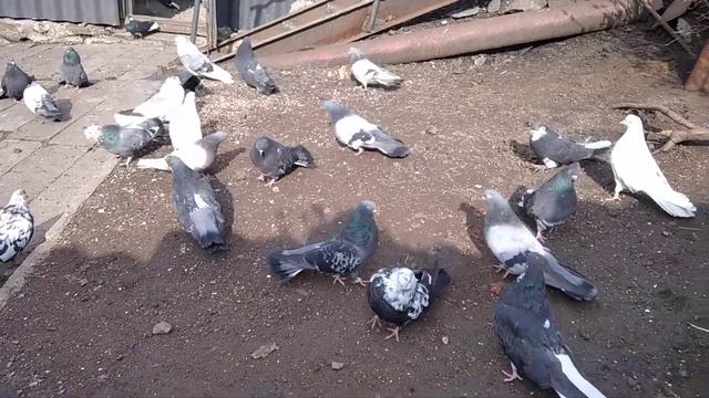 15 апреля 2022 г. смотреть онлайн