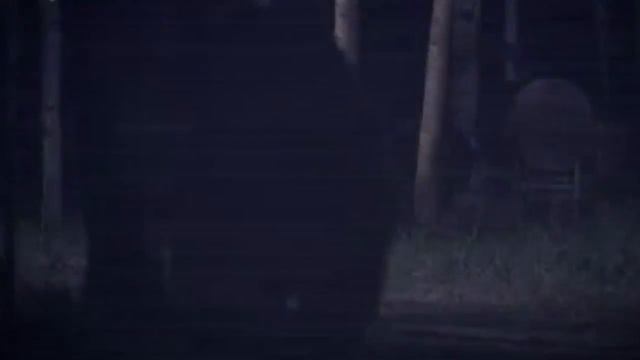 31 Horror Movies in 31 Days: GRIZZLY RAGE (2007) смотреть онлайн