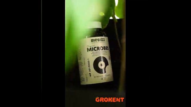 کود Biobizz Microbes смотреть онлайн