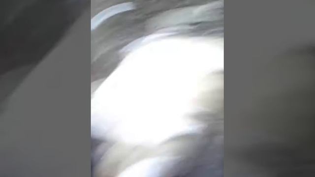 Пастила \°-°/ смотреть онлайн