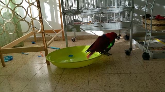 купаемся смотреть онлайн