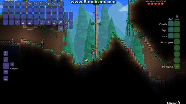 Terraria 1 серия начало 2 сундука смотреть онлайн